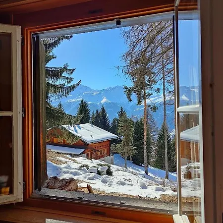 Nocleg ze śniadaniem Arche De Noe