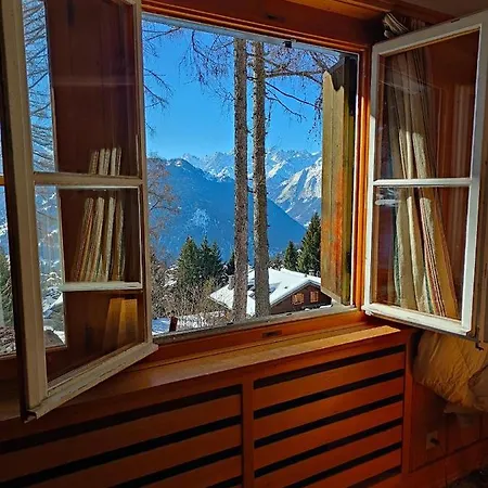 Arche De Noe B&B *