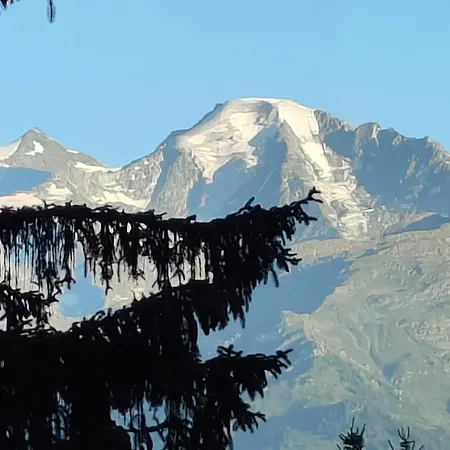 Arche De Noe * Verbier