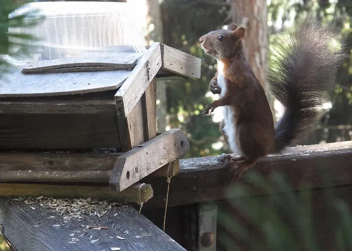 B&B Arche De Noe 베르비에