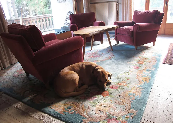 Arche De Noe 베르비에